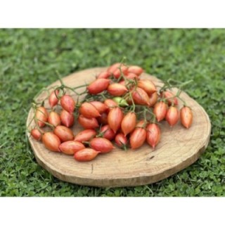 ARTISAN™ Pink Tiger