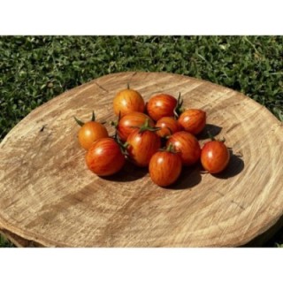 ARTISAN™ Golden Bumble Bee