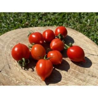 Piennolo Del Vesuvio