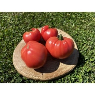 Miel de l'Altaï Rose