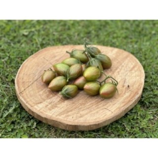 ARTISAN™ Lucky Tiger