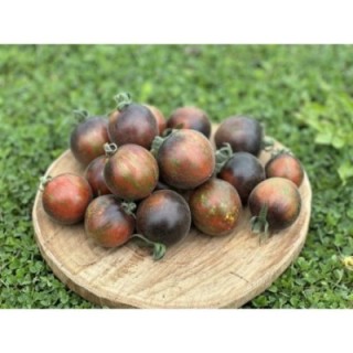 Extravagante Rouffiange