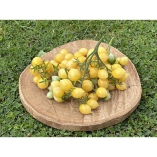 Barry's Crazy Cherry